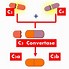 Image result for C3 and C4 Complement