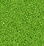 Image result for Moss Carpet