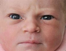 Image result for Evil Baby Eyebrows