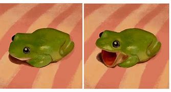 Image result for Frog Meme Apple Feet