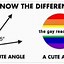 Image result for LGBT Meaning Meme