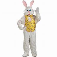 Image result for Bunny Costume Men