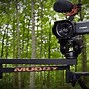Image result for Hunting Camera Tree
