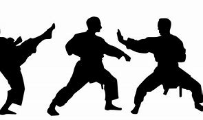 Image result for Karate Moves List