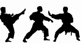 Image result for Karate Icon