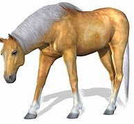 Image result for Pic of Racing Horse of Wallpaper