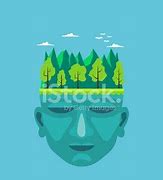 Image result for thc stock