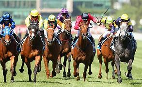 Image result for Melbourne Cup Race Track