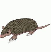 Image result for Armadillo Clip Art