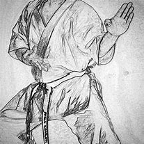 Image result for Karate