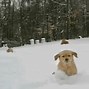 Image result for Ultra Wide Screensaver Snow