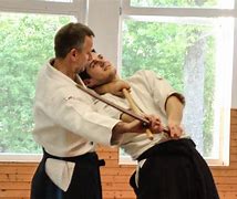 Image result for Aikido Martial Arts