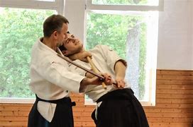 Image result for Aikido Martial Arts
