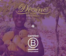 Image result for Beauty Counter B Corporation