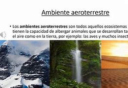 Image result for a3roterrestre