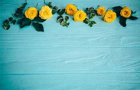 Image result for Best Yellow Floribunda Rose