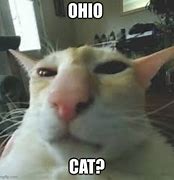 Image result for Goofy Ahh Ohio Memes