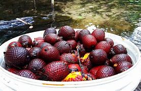 Image result for aguacgas