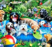 Image result for Colorful Dogs