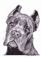 Image result for Cane Corso Coloring Pages