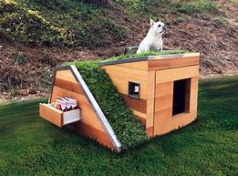 Image result for House for Dogs Design