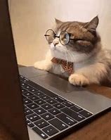 Image result for Great Work Cat Meme