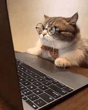 Image result for Tired of Work Cats Meme