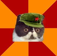 Image result for Communist Cat