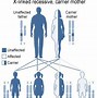 Image result for Genotypes That Are Homozygous