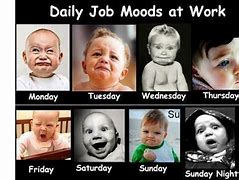 Image result for Funny Work Week Memes
