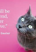 Image result for Quotes About Cats and Books