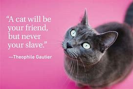 Image result for Big Cat Quotes