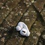 Image result for AirPods Customization