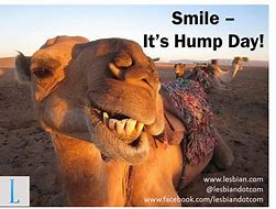 Image result for Clean Hump Day Memes