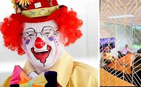 Image result for Emotional Support Clown