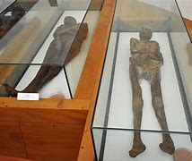 Image result for H Mummies of Venzone