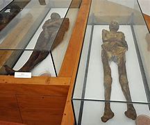Image result for Venzone Mummia