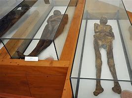 Image result for Before the Mummies Were Badaged Up