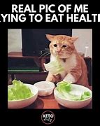 Image result for Person Eating Cat Meme