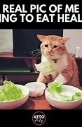 Image result for Funny Health Food Memes