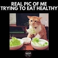 Image result for Diet Humor Memes
