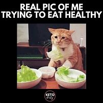 Image result for Eat All the Food Meme