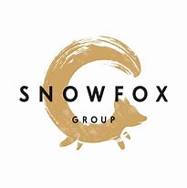 Image result for Snow Fox Secuity Logo