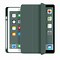 Image result for iPad Mini 5 ClearCase