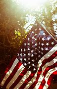 Image result for Cute American Flag Back Ground