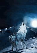 Image result for Galaxy Wolves GIF
