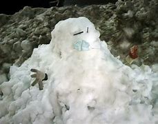 Image result for Snowman Mask
