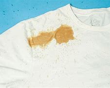Image result for Doogie Stains