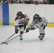 Image result for Hockey Action Shots