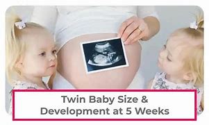 Image result for 5 Weeks Pregnant with Twins